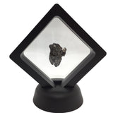 Campo del Cielo Meteorite in Case