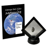 Campo del Cielo Meteorite in Case