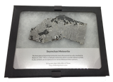 Seymchan 163 grams Pallasite Meteorite Slice