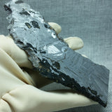 Seymchan 163 grams Pallasite Meteorite Slice